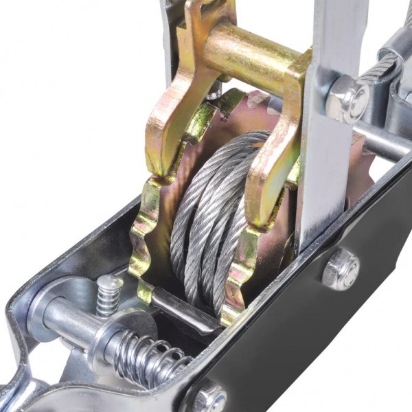 Cabrestante manual de palanca con 2 engranajes 1000 kg M 3