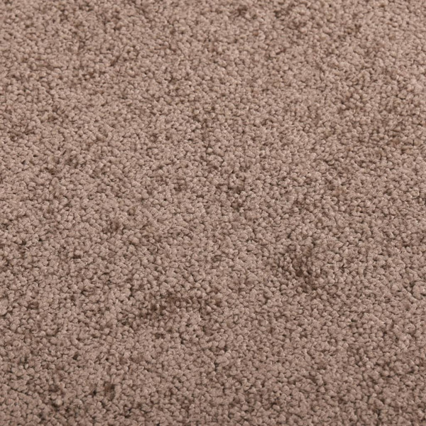 Felpudo marrón 80x120 cm M 5