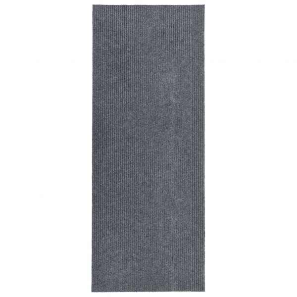 Alfombra de pasillo atrapa suciedad 100x300 cm gris D