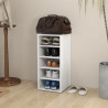 Mueble zapatero de madera contrachapada blanco 31.5x35x70 cm 1