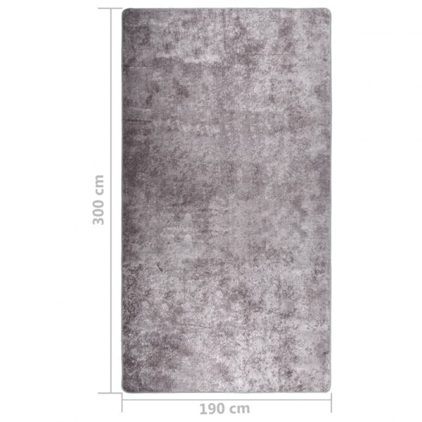 Alfombra lavable antideslizante gris 190x300 cm M 5