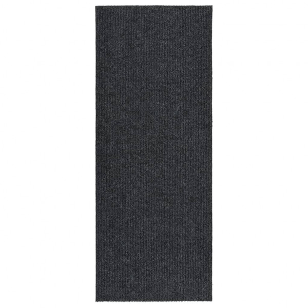 Alfombra de pasillo atrapa suciedad 100x250 cm gris antracita D