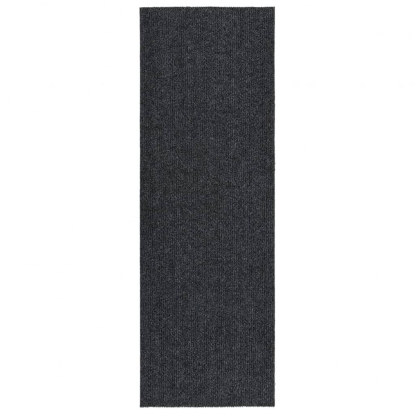 Alfombra de pasillo atrapa suciedad 100x300 cm gris antracita D