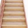 Alfombrillas autoadhesivas escaleras 15 uds marrón 76x20 cm 1