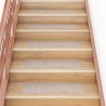 Alfombrilla autoadhesiva escalera 15 uds crema 76x20 cm 1