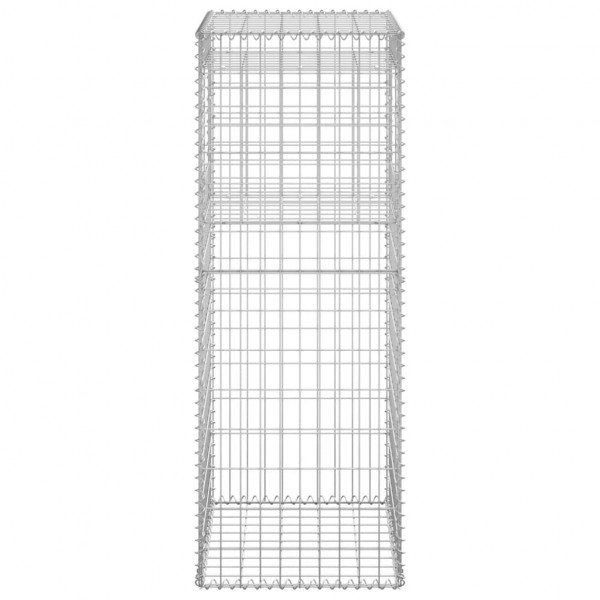 Cestas postes de gaviones 2 unidades hierro 50x50x140 cm M 5