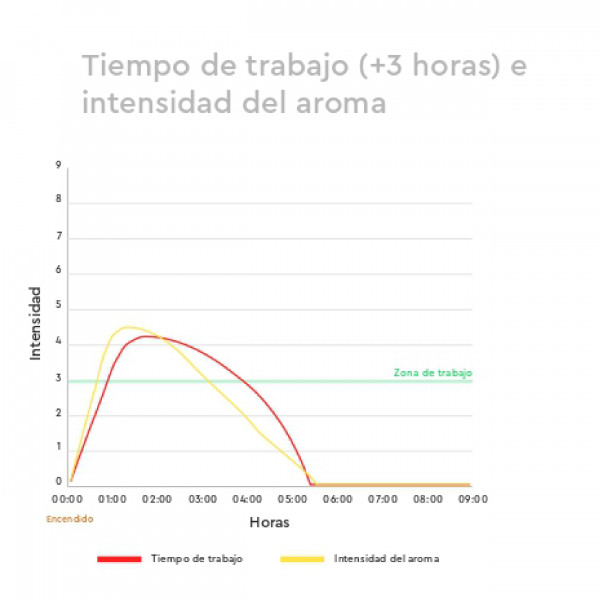 Carvão de encina Todobrasa. Bolsa de 4 KG Minipalet 50 UDS. M 7