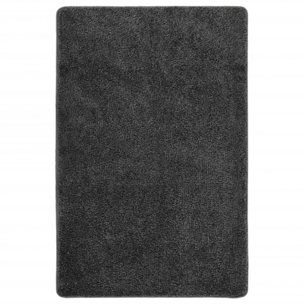 Alfombra peluda antideslizante gris oscuro 200x290 cm D
