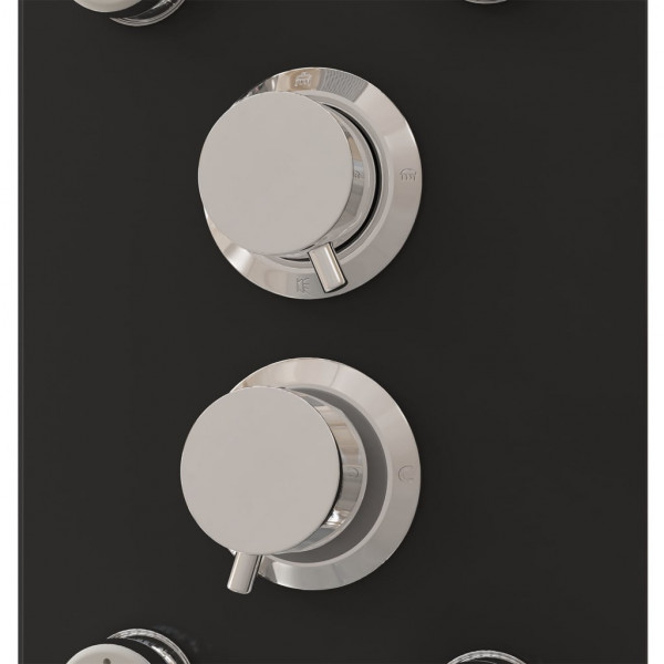 Panel ducha de vidrio 25x47.5x130 cm negro M 5