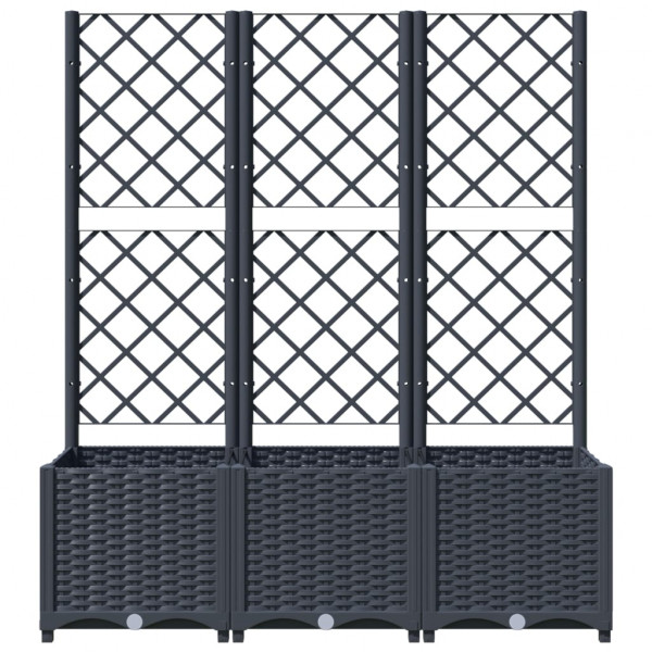 Jardinera con enrejado PP gris oscuro 120x40x136 cm M 4