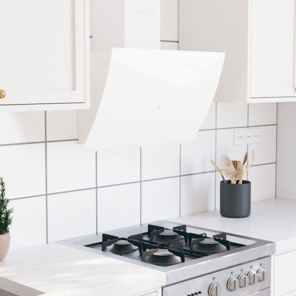 Campana extractora de pared acero vidrio templado blanco 60 cm M 5