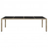 Mesa de jardín de vidrio templado ratán PE beige 250x100x75 cm 2