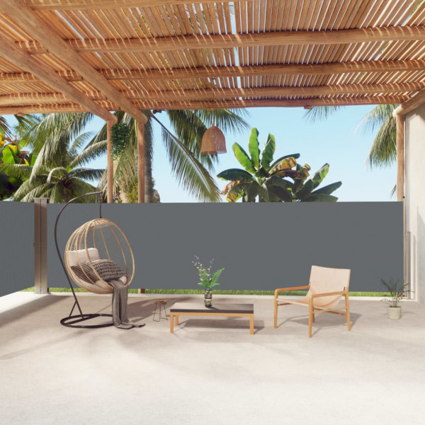 Toldo lateral retráctil antracita 160x1000 cm D