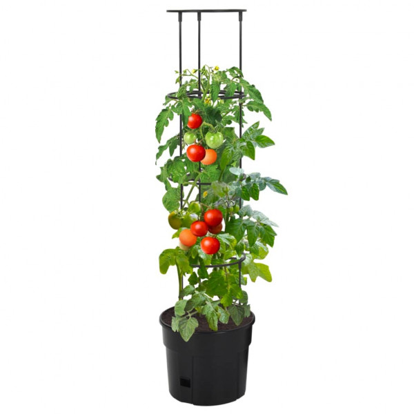 Vaso p/ cultivo de tomate Ø29.5x115 cm polipropileno antracite M 2