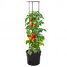 Vaso p/ cultivo de tomate Ø29.5x115 cm polipropileno antracite 2