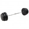 Mancuerna curl con discos 90 kg 1