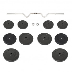 Mancuerna curl con discos 90 kg H