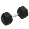 Haltere 20 kg ferro fundido 1