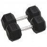 Halteres 2 unidades ferro fundido 30 kg 1