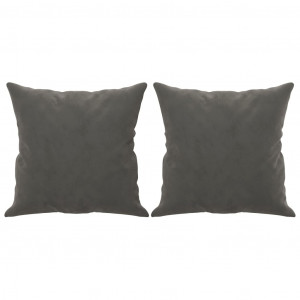 Cojines decorativos 2 uds terciopelo gris oscuro 40x40 cm H