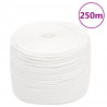 Cuerda de barco polipropileno blanco intenso 6 mm 250 m 1