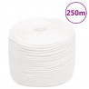 Corda de barco 10 mm 250 m polipropileno branco completo 1
