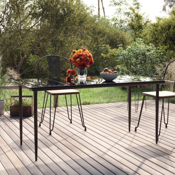 Mesa comedor jardín acero y vidrio templado negro 160x80x74 cm D