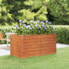 Canteiro de jardim 160x80x77 cm aço corten cor enferrujado 1
