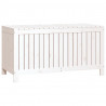 Caixa de arrumação jardim 121x55x64 cm pinho maciço branco 5