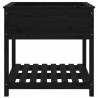 Jardinera con estante madera maciza pino negro 82.5x82.5x81 cm 5