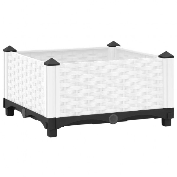 Arriate polipropileno 40x40x23 cm D