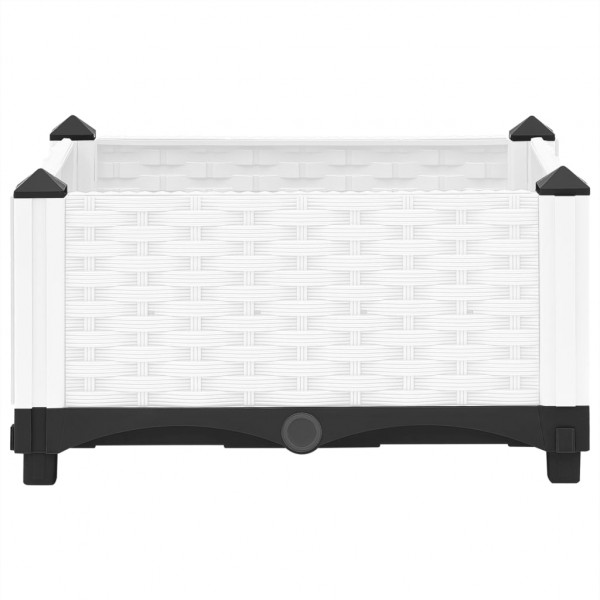 Arriate polipropileno 40x40x23 cm M 4