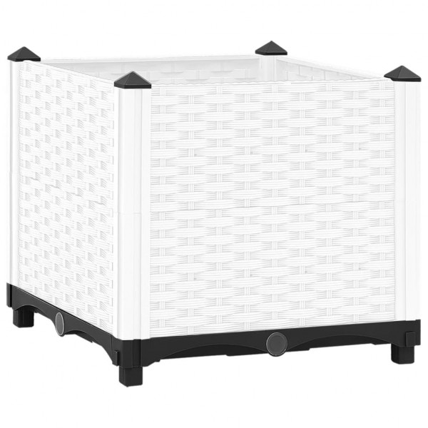 Arriate polipropileno 40x40x38 cm D