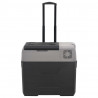Nevera con ruedas y asa polipropileno negro y gris 30 L 3