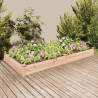 Jardinera arriate con forro madera maciza abeto 240x120x25 cm 1