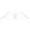 Invernadero con estructura de acero blanco 12 m² 6x2x2.85 m 4