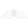 Invernadero con estructura de acero blanco 8 m² 4x2x2 m 4
