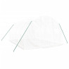 Invernadero con estructura de acero blanco 12 m² 4x3x2 m 3