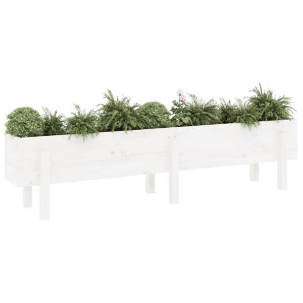Canteiro elevado de jardim 160x30x38 cm pinho maciço branco M 3