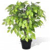 Planta enana artificial de ficus en maceta. 60 cm 1