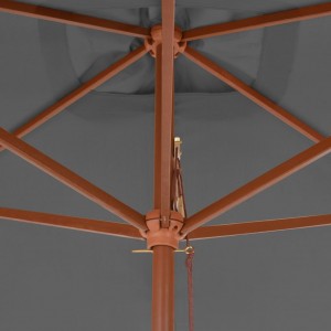 Sombrilla de jardín con palo de madera 200x300 cm antracita H