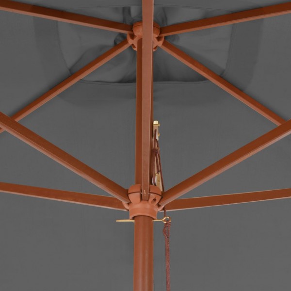 Guarda-sol de exterior c/ mastro de madeira 200x300cm antracite M 2