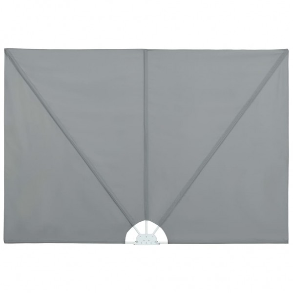 Toldo lateral plegable terraza gris 400x200 cm D