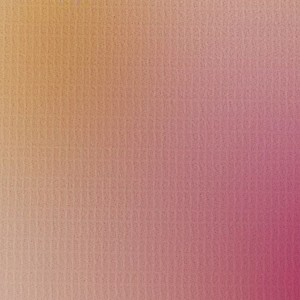 Biombo divisor plegable flores 120x170 cm H