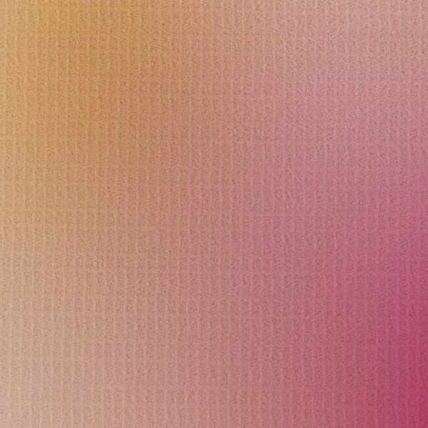 Biombo divisor plegable flores 120x170 cm M 2