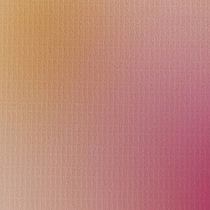 Biombo divisor plegable 160x170 cm flores H