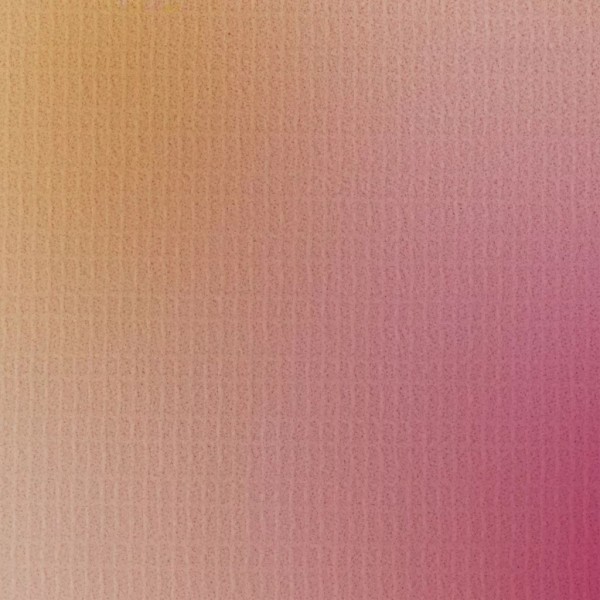 Biombo divisor plegable 160x170 cm flores M 2