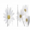 Biombo dobrável com estampa de flores 200x170 cm 1