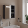 Mueble de baño con espejo y luz LED gris 45x13x52 cm 1