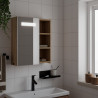 Mueble de baño con espejo y luz LED roble 45x13x52 cm 1